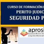 MODELO-CARTEL-UPO1